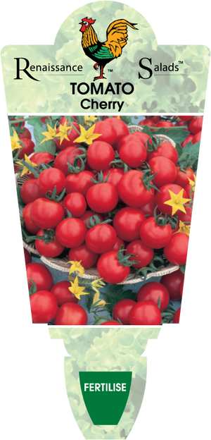 Tomato Cherry