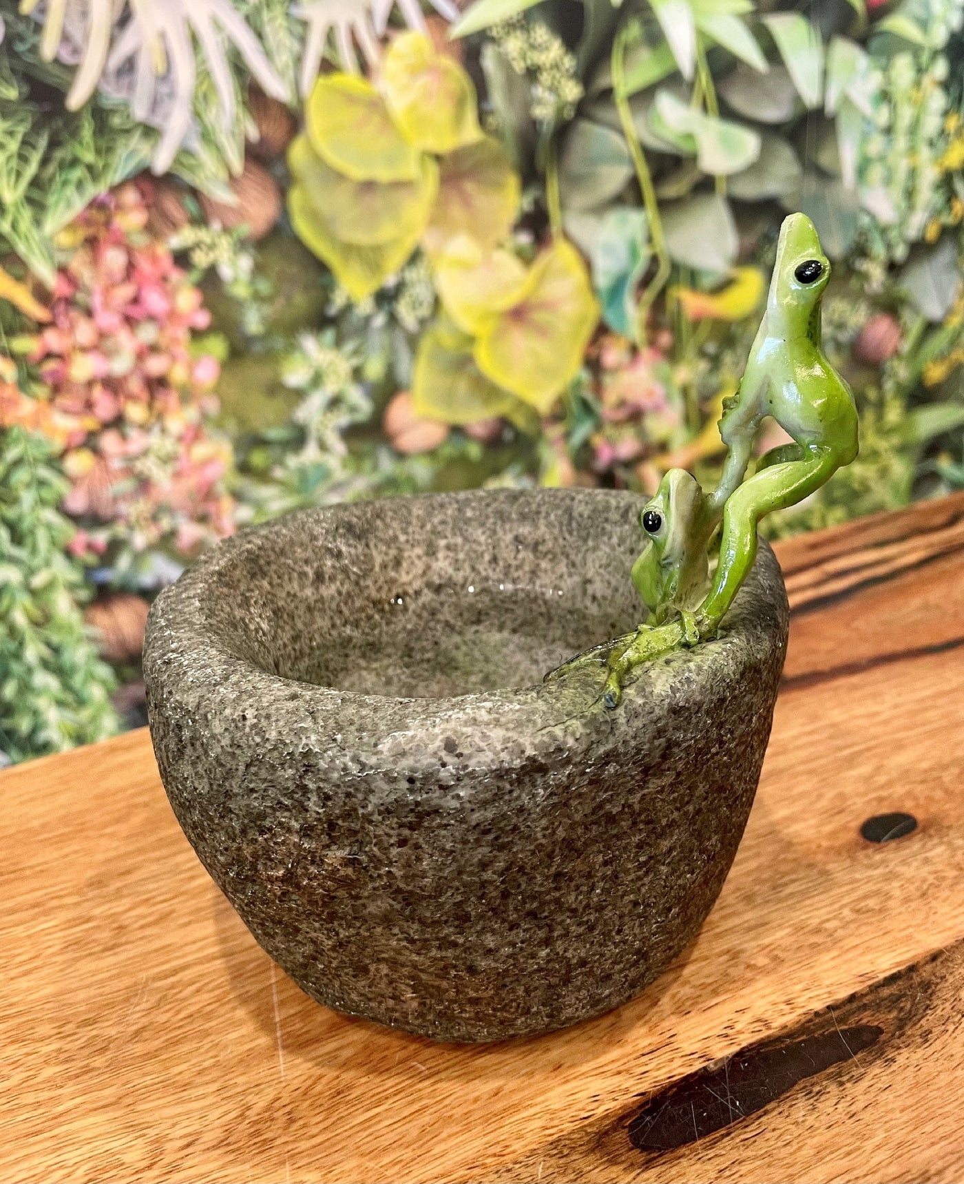 Froggy Rescue on Pot