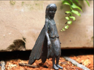 The Iron Fairy Tia