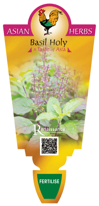 Basil Holy