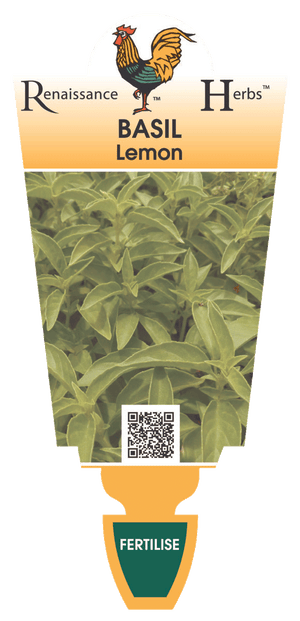 Basil Lemon