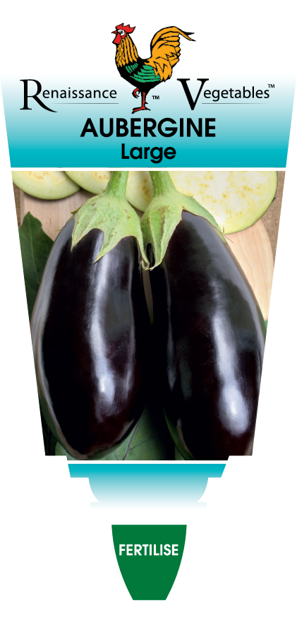 Aubergine Eggplant