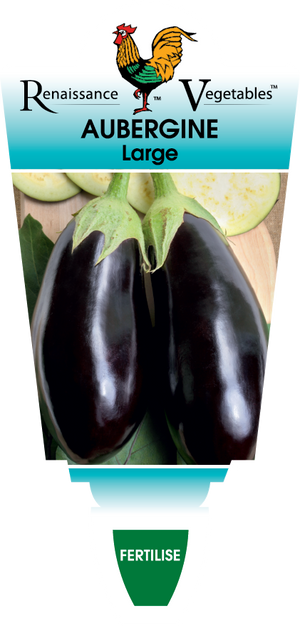 AUBERGINE - EGGPLANT