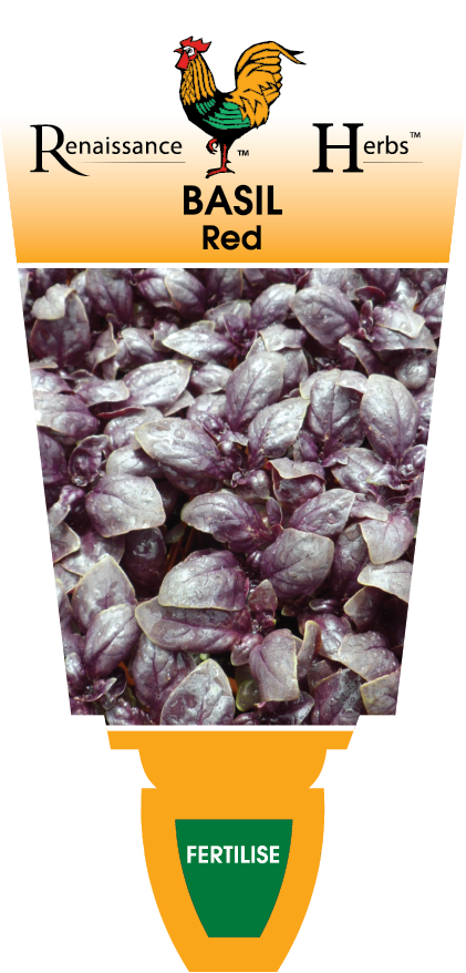 Basil Red