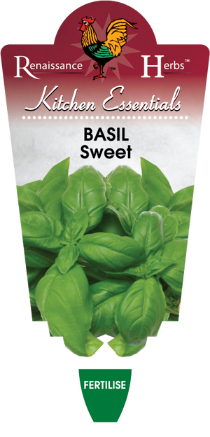 BASIL - SWEET