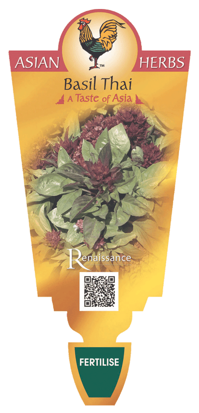 BASIL - THAI