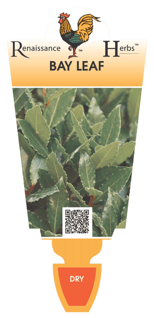 BAY LEAF