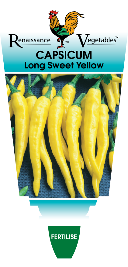 Capsicum Long Sweet Yellow