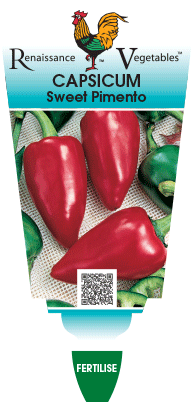 Capsicum Sweet Pimento