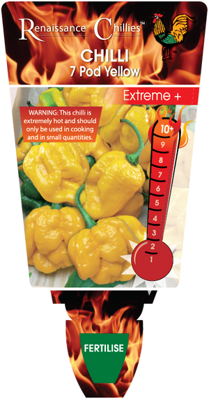 Chilli 7 Pod Yellow