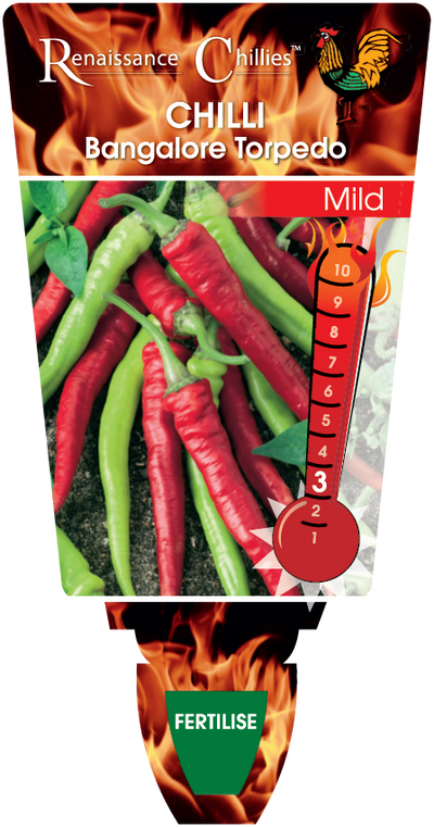 Chilli Bangalore Torpedo