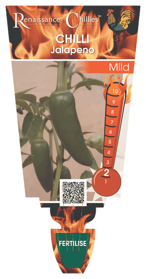 Chilli Jalapeno