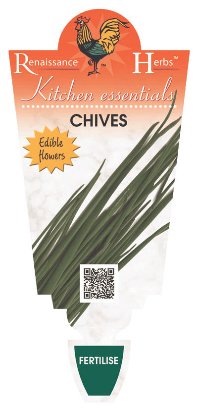 Chives
