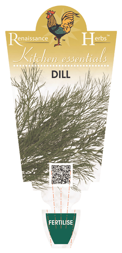 Dill