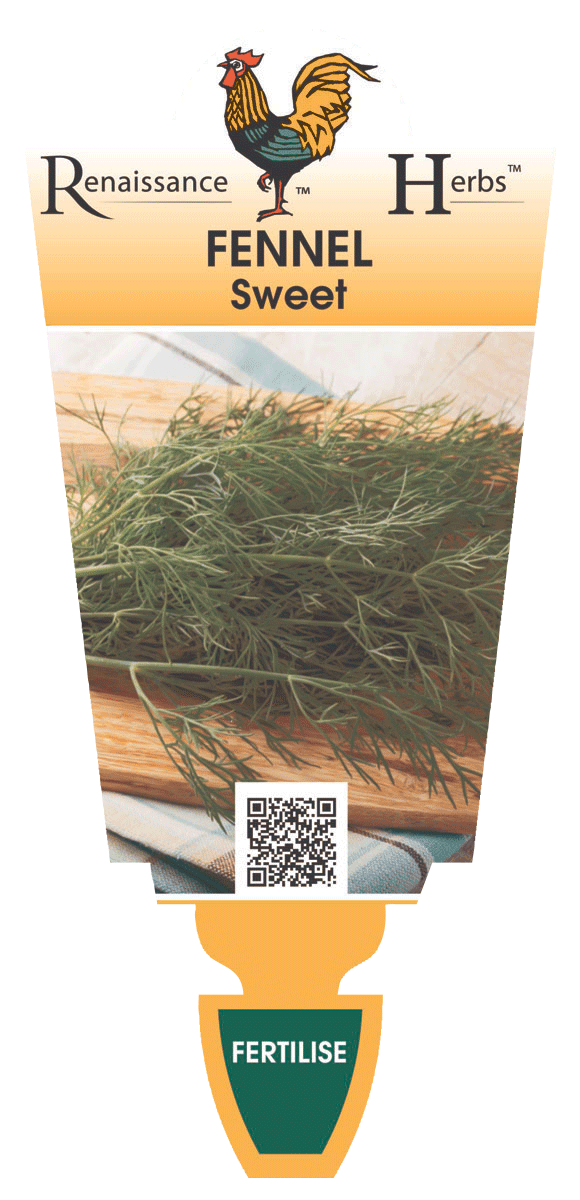 Fennel Sweet
