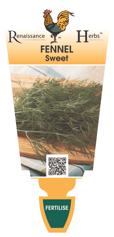 Fennel Sweet