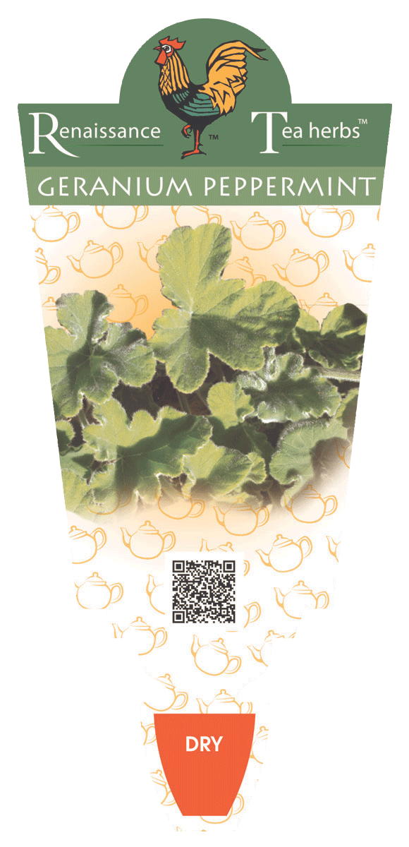 GERANIUM PEPPERMINT
