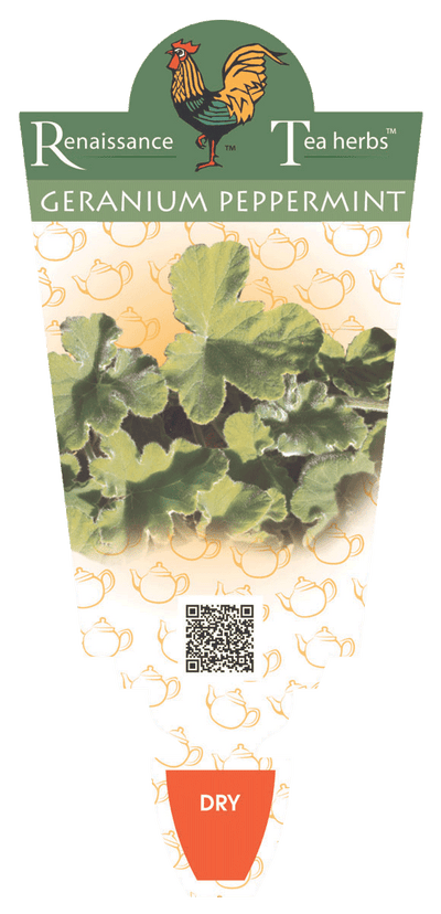 GERANIUM PEPPERMINT