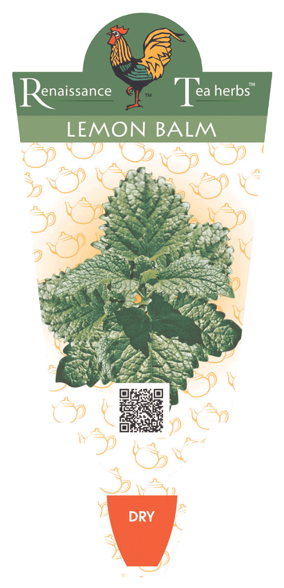 Lemon Balm
