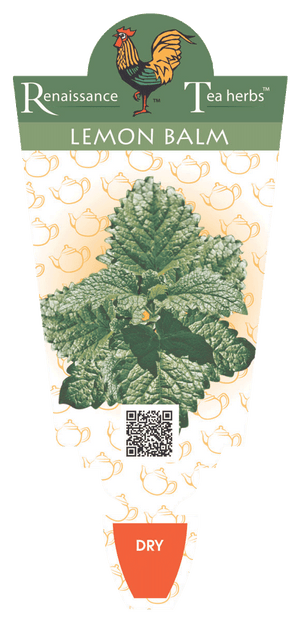 Lemon Balm