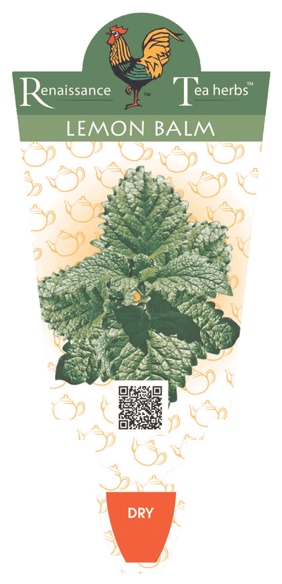 Lemon Balm
