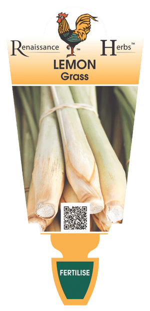 Lemon Grass