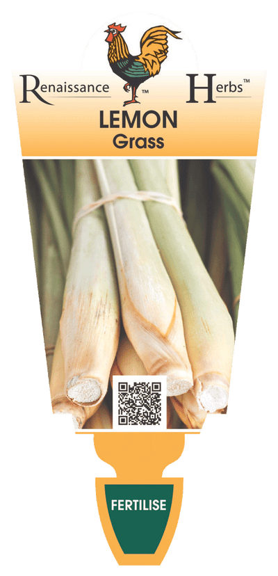 Lemon Grass