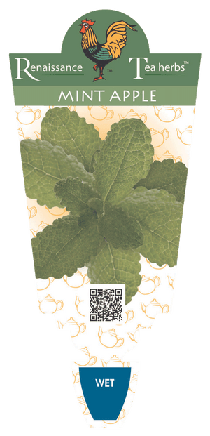 Mint Apple