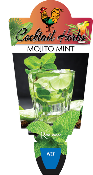 Mint Mojito, Mint Cuban
