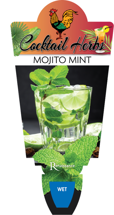 Mint Mojito, Mint Cuban