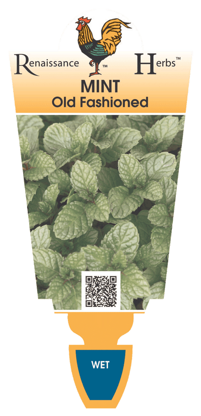 Mint Old Fashion