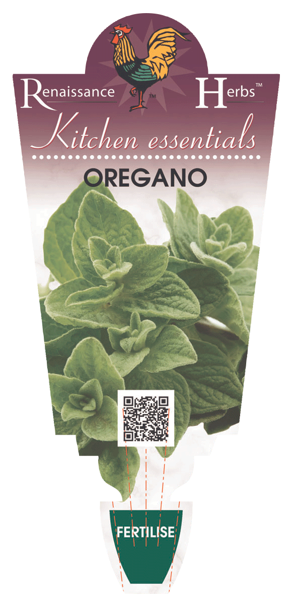 Oregano