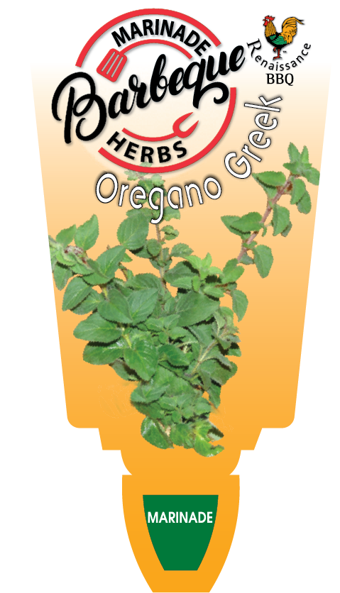 Oregano BBQ, Greek Oregano