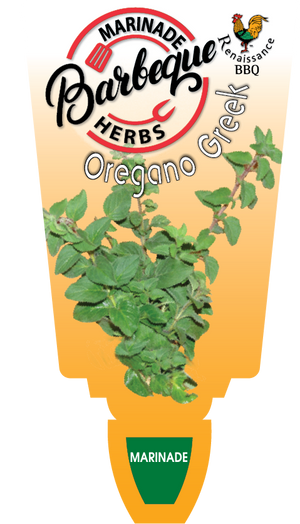 Oregano BBQ, Greek Oregano