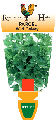 Parcel Wild Celery