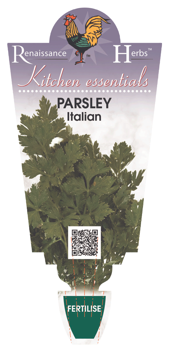 Parsley Italian