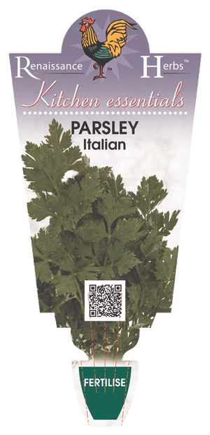Parsley Italian