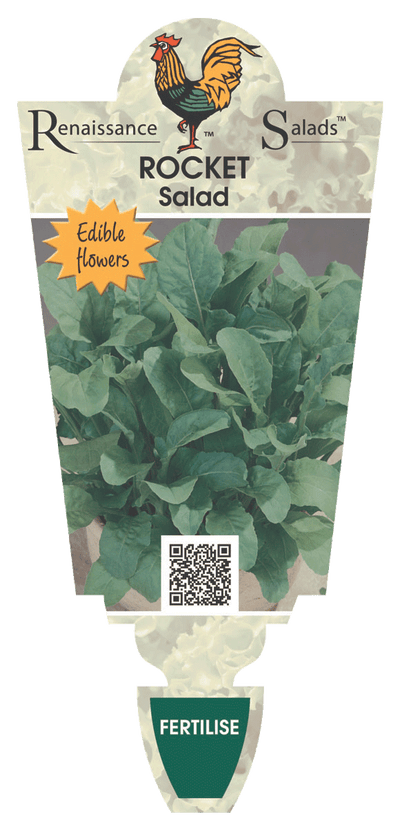 Rocket Salad