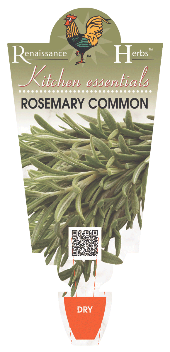 Rosemary