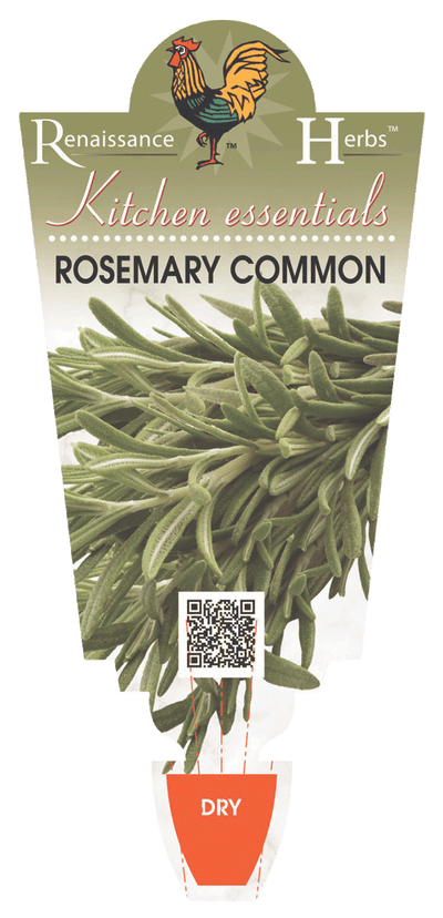 Rosemary