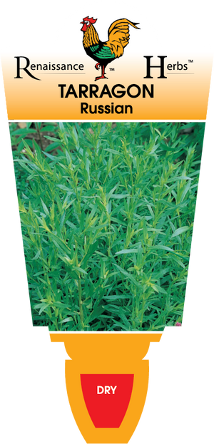 Russian Tarragon