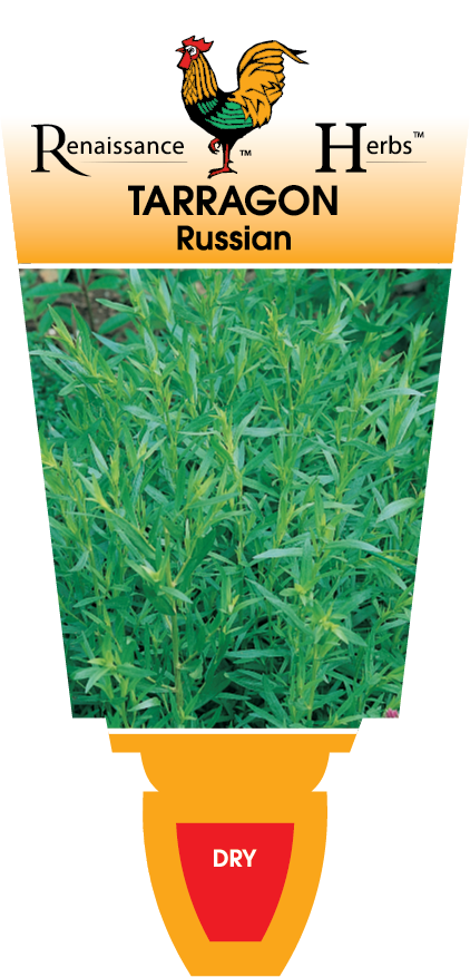 Russian Tarragon