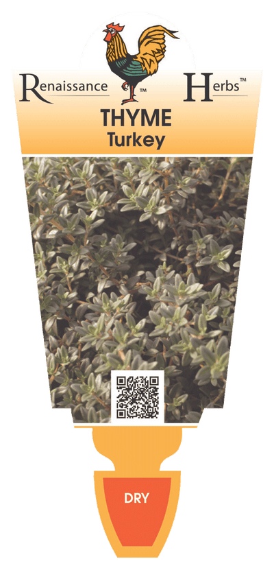 Thyme Turkey
