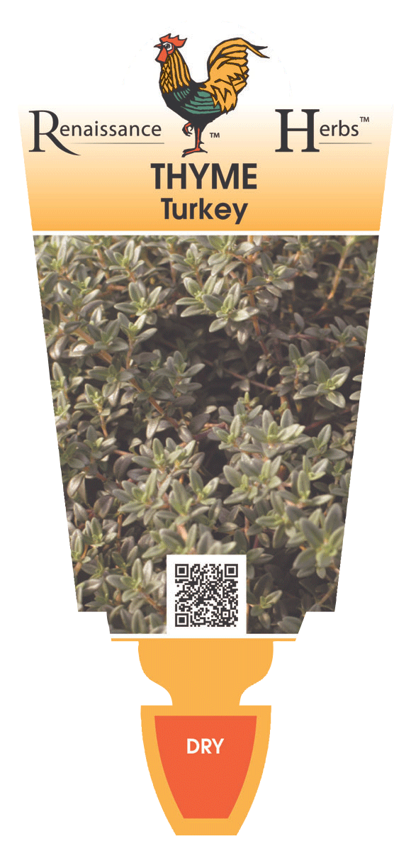Thyme Turkey