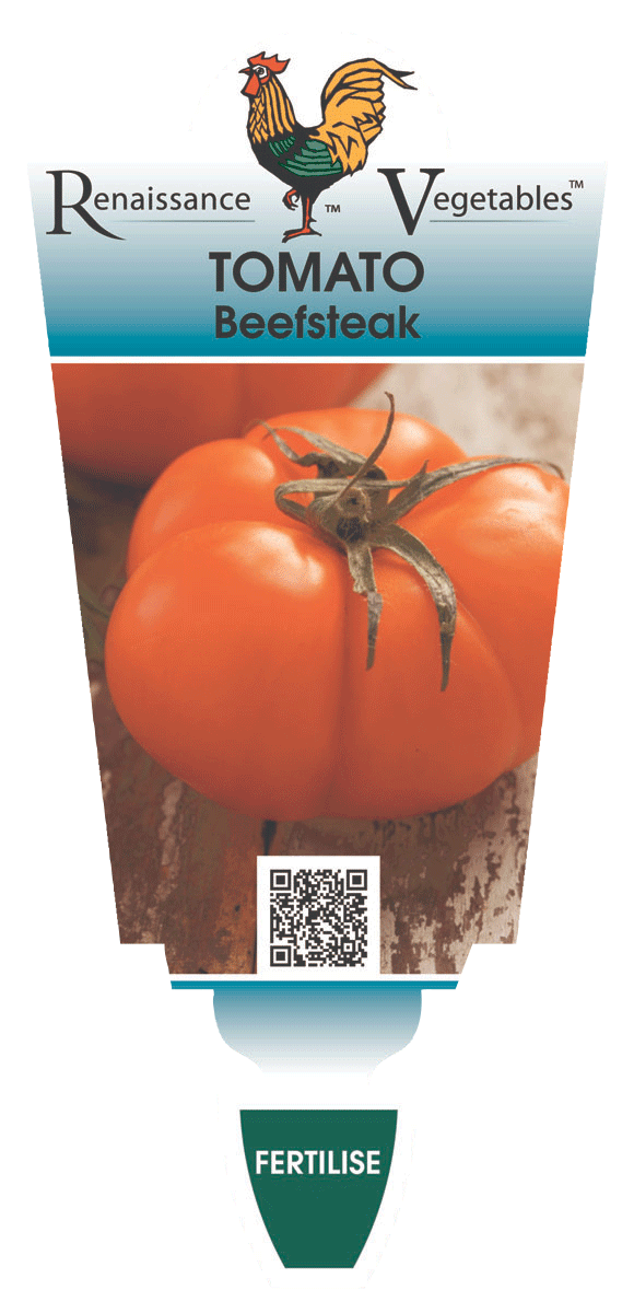 Tomato Beefsteak