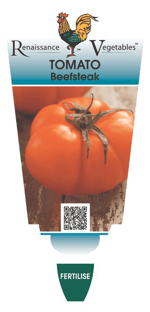 Tomato Beefsteak