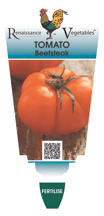 Tomato Beefsteak