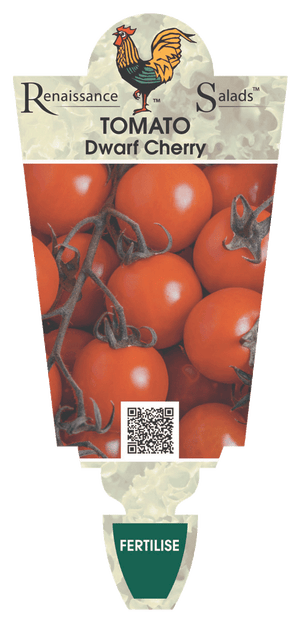 Tomato Cherry Dwarf
