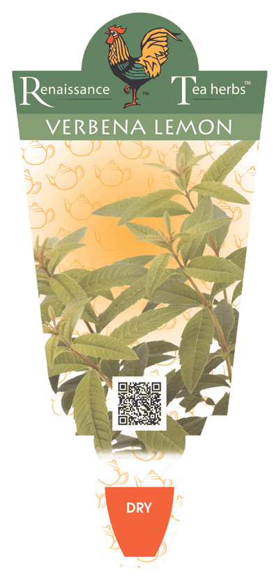 Verbena Lemon