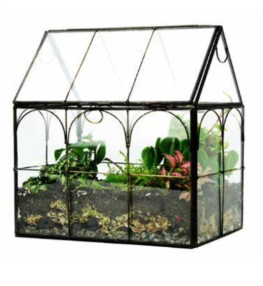 TERRARIUM WARDIAN HOUSE